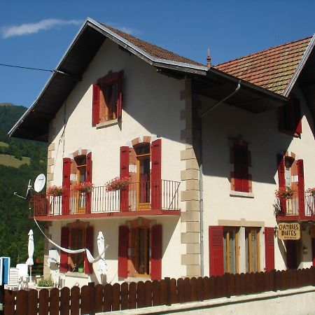 L'Horizon Des Alpes Bed & Breakfast Le Petit-Bornand-les-Glieres Exterior photo